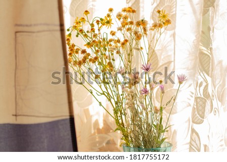 Wildflowers in a vase on the windowsill, vintage interior element. Dried flowers on a background of sunny daylight