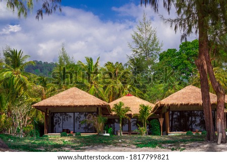 Best tropical palm beach destination. Private place in paradise island - koh Lanta, Thailand.