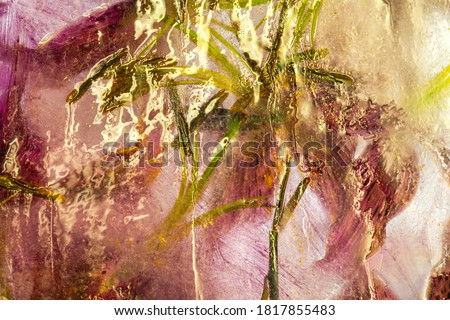 Flowers and leaves in the ice, frozen floral.Abstract organic art. Royalty-Free Stock Photo #1817855483