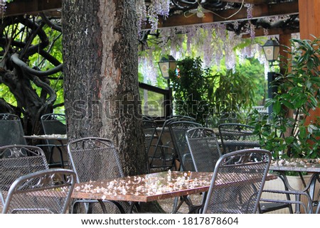 terrace of a restaurant with nature decoration
