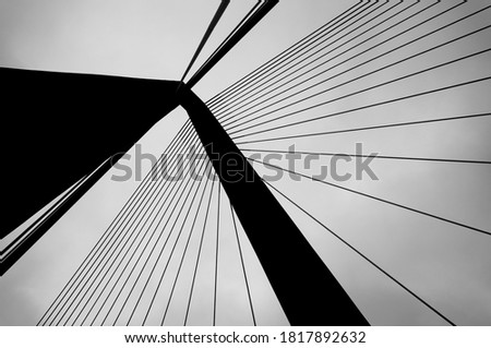 A black and white picture looking up at a bridge.