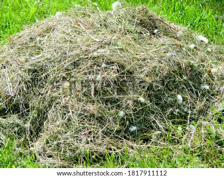  pictured a small haystack closeup                              