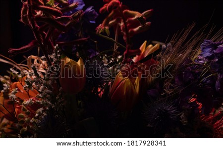 flowers isolated on black background. Floral arrangement, bouquet of garden flowers. 