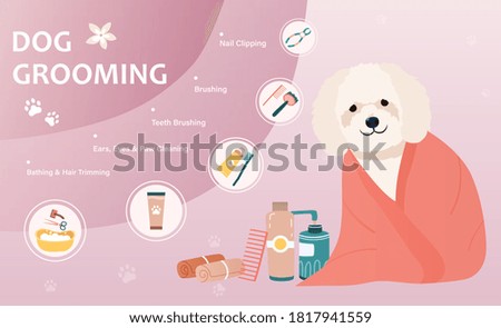 Dog grooming concept. Colorful vector illustration. Web page template with happy dog and dog groomig icons.