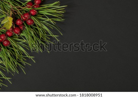 Merry Christmas and happy new year concept. Black background with pine branch. Flat lay. Copy space.