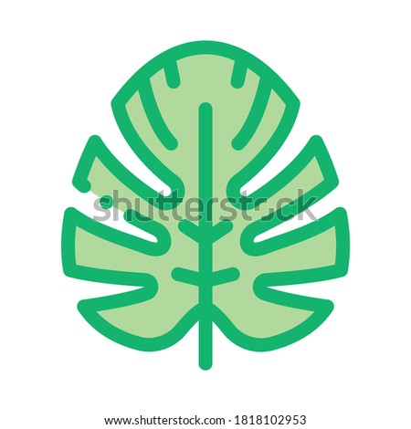 plant leaf icon vector. plant leaf sign. isolated contour symbol illustration