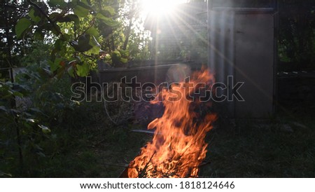 Defocus bright red flame of bonfire burning outdoor with flare sunbeams from sunset sun. Tree branch with green leaves on foreground and high fire flames on background
