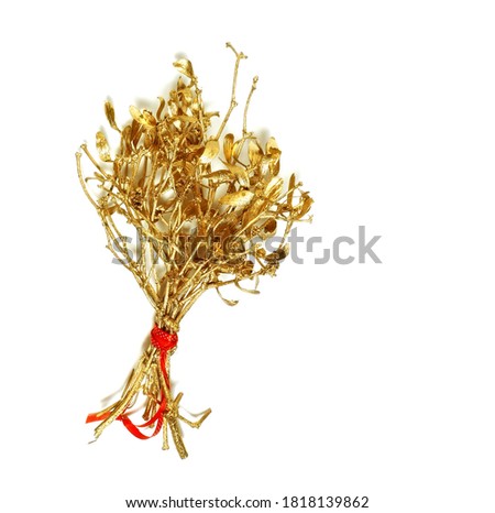 Golden branch of mistletoe on white background                               