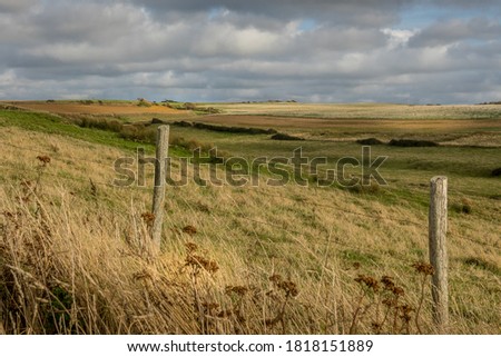 Country, meadows and fields on the opal coast. Higth quality photo
