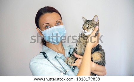 Female vet with a medical mask and a cat in her hands on a white background. Royalty-Free Stock Photo #1818179858