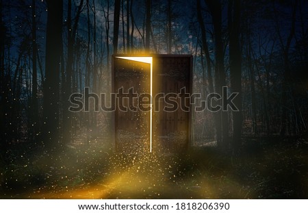 A door that connects between our world and another world