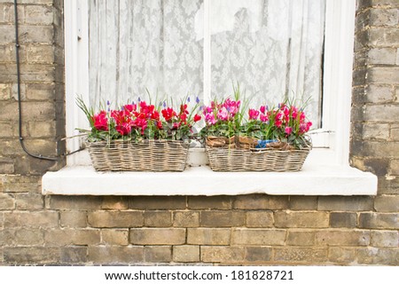 Two baskets on a window containign spring flowers