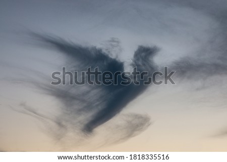 Dark cloud in shape of a pigeon in the evening sky Royalty-Free Stock Photo #1818335516