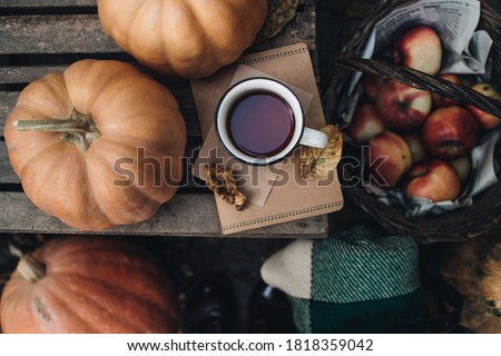 Fall styled composition. Autumn breakfast still life. Scandinavian hygge concept. Morning concept. Cozy autumn scene with pumpkins and apples. Flat lay. Home decor.