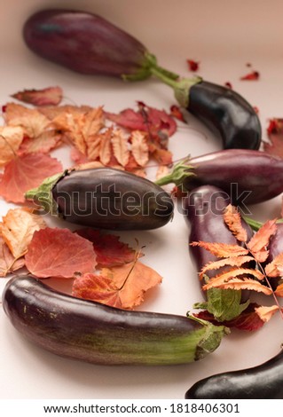 Fresh eggplants and dry autumn red rowan and aspen leaves on a light background. Flatlay, top view. 