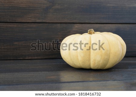 big light yellow pumpkin on dark wooden background, copy space for text. Halloween celebration concept. Traditional symbol of halloween.