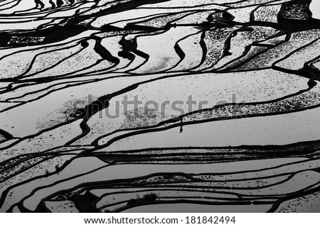 Black and white image with Yuan Yang Rice terraces in Duoyishi, Yunnan of China