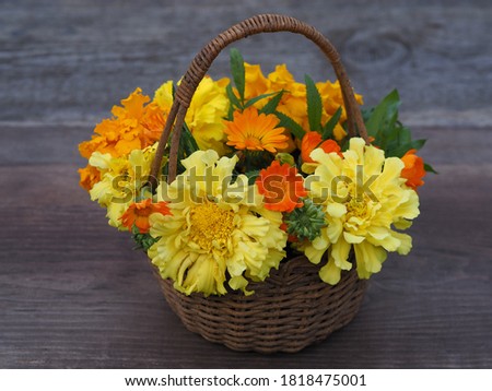 Bright bouquet of tagetes and calendula with yellow and orange flowers in a basket on a wooden stand, closeup. Romantic picture with seasonal blooming of useful flowers