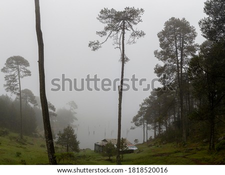 mist and fog in beautiful wet forest landscape with cottage  beside Iturbide lake in Mexican highlands
