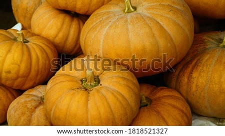 Golden Pumpkin on the market