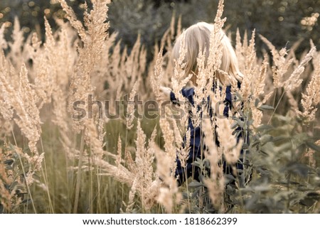 Cute little boy playing in high dry grass in autumn field