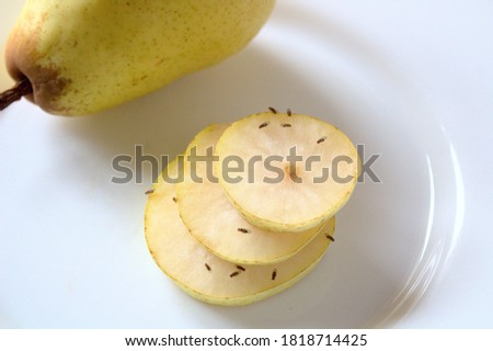 pear with many fruit flies Royalty-Free Stock Photo #1818714425