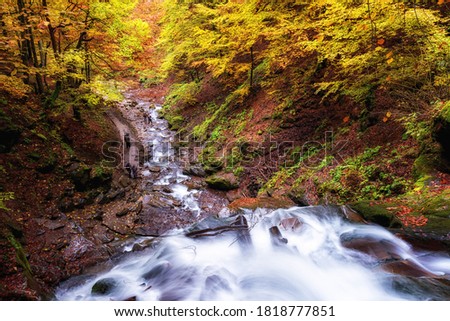 Top view of the Shypit waterfall in Carpathian mountains, autumn landscape, popular tourist attraction, nature background