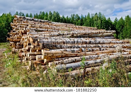 Pile of harvested wood from birch, pine, aspen on background of green forest and blue sky