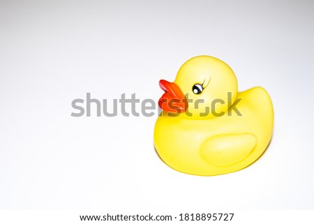 The cute yellow rubber duck, classic kids toy. 