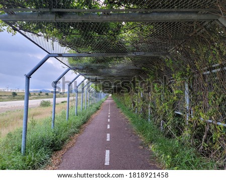 bike lane with beautiful green tunnel