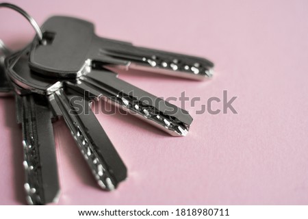 Door key lies on pink background. Set of keys. Bunch of keys. House key. New house concept. Rental and Selling. Royalty-Free Stock Photo #1818980711