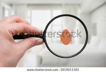 Control pest concept. Hand with a magnifying glass and insect