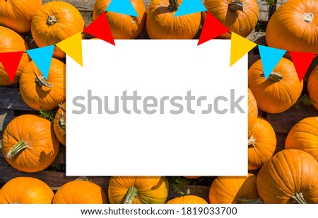 white sheet on pumpkin field, free space for your design, mock up
