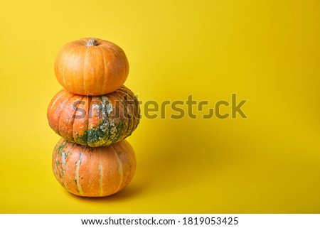 several different pumpkins on a yellow background copy space