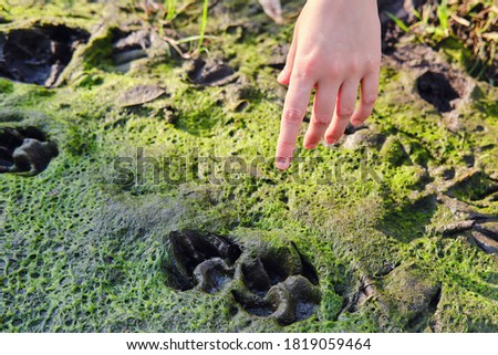 Woman shows his hand on the footprints, close up