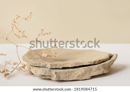 Background for cosmetic products of natural beige color. Stone podium and dry flower on a white background. Front view. Royalty-Free Stock Photo #1819084715