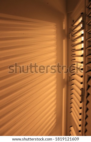 Image of Shadow of Blinds
