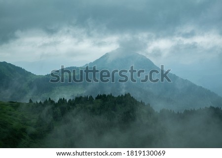 Mountain peaks in the fog. A gloomy mysterious forest and dense fog create a mystical mood. Atmospheric photo in vintage retro style