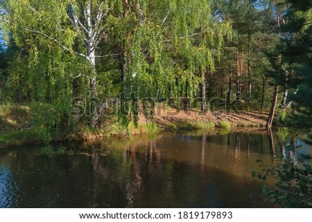 Summer landscape, forest trees are reflected in calm river water against a background of blue sky and clouds.