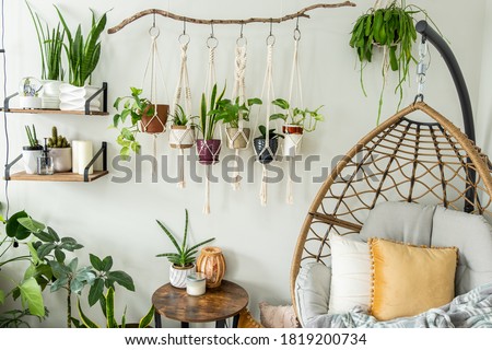 Six handmade cotton macrame plant hangers are hanging from a wood branch. The macrame have pots and plants inside them. There are decorations and shelves on the side with an egg chair and a table. Royalty-Free Stock Photo #1819200734