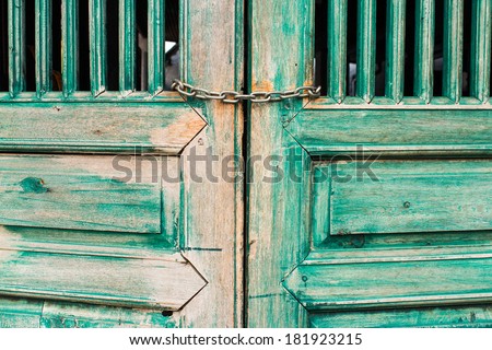 Old door paint green for vintage style