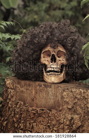 Still life art photography concept on skull dry leaves cut wood log