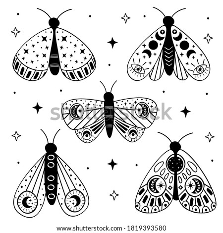 set of isolated black magic moths and butterflies
