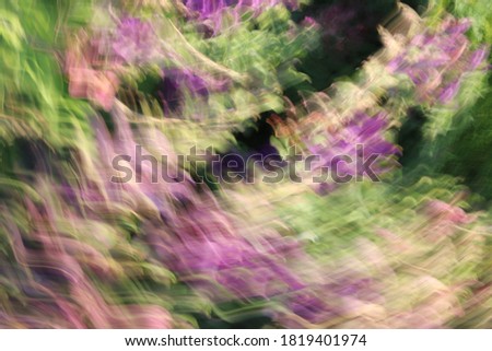 Blurred image of flowers. Multicolored floral background. Beautiful texture.