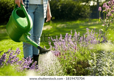 gardening and people concept - young woman with watering can pouring water to flowers at garden Royalty-Free Stock Photo #1819470704