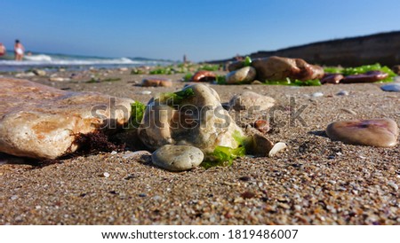 Low angle close up shot of sea pebbles and stones on the beach during summer vacation. Shallow depth of field with main focus on the stones. Horizontal picture of seaweeds, algae and clam shells.