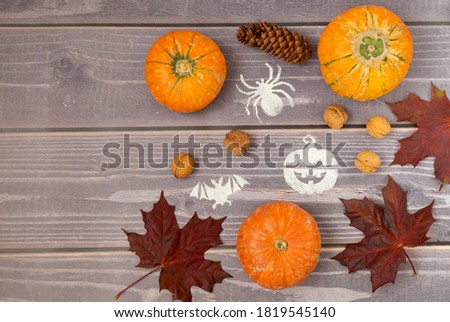 Halloween background of ripe nice little pumpkins, walnuts, fallen red maple leaves and stenciled Halloween symbols on a wooden surface. Horizontal orientation, selective focus, copy space.