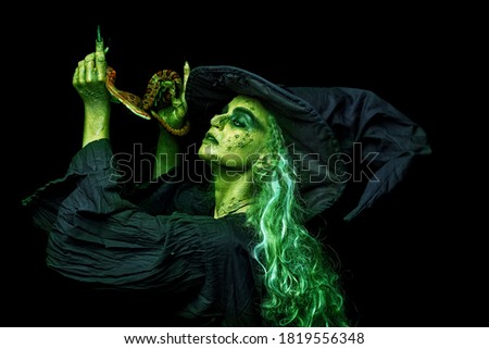 Portrait of a scary Halloween witch with green skin holding her poisonous snake surrounded. Copy space. Scary tales. 