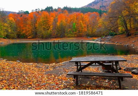 Image of colorful leaves falling down from tree branches in autumn.(Yedigöller). Yedigoller National Park, Bolu, Istanbul. Turkey. 
