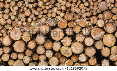 Pile of pine wood logs viewed end on